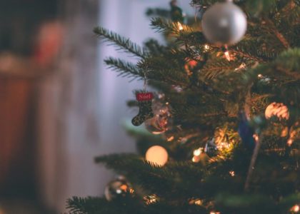 tree with lights in dark room