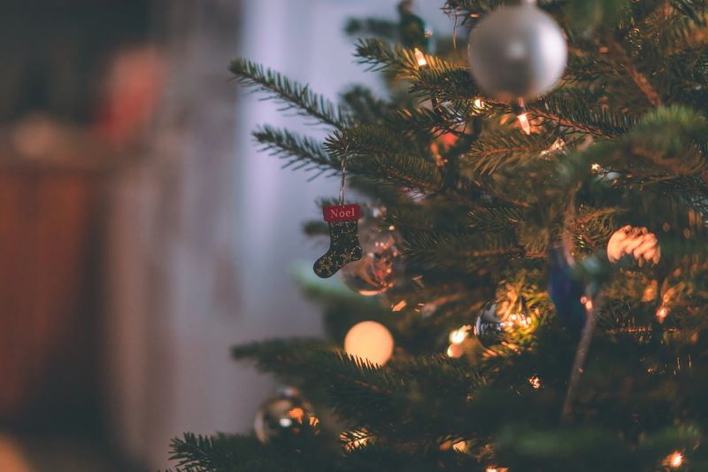 tree with lights in dark room