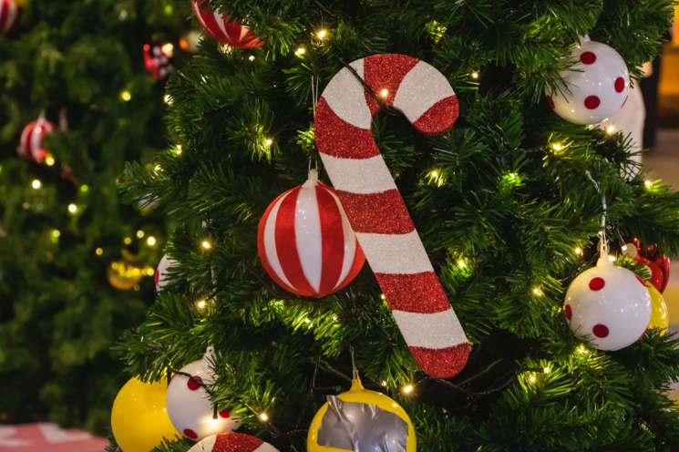 Festive and Cozy Table Top Christmas Trees